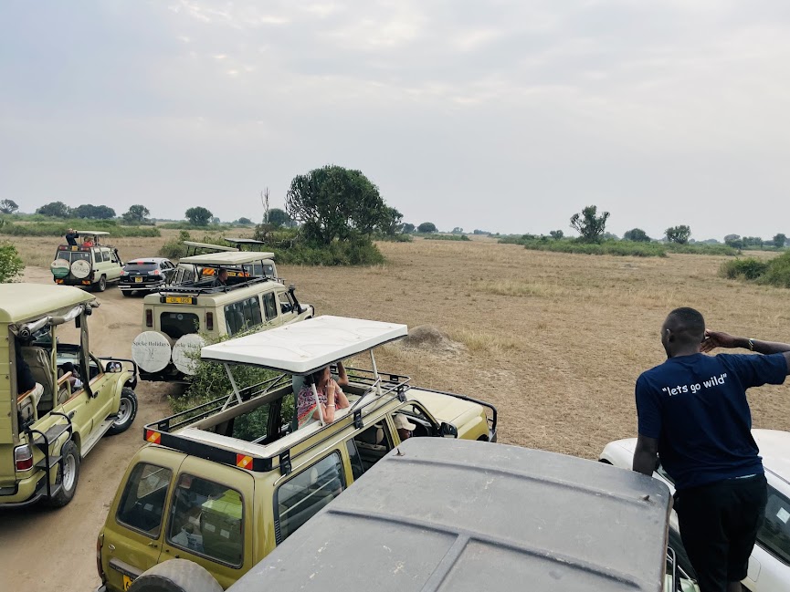 Top 5 Reasons to Choose a Uganda Safari Adventure