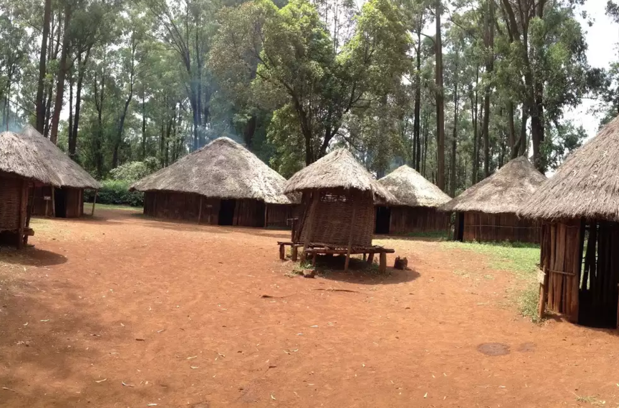 A Comprehensive Guide to Planning Your Kenya Safari Adventure from Nairobi