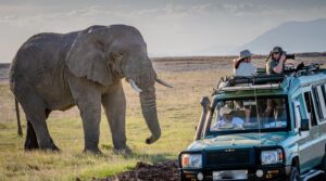 How to Choose the Best Safari Package in Uganda: A Comprehensive Guide