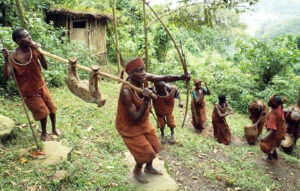 The Rich Heritage of the Batwa People in Uganda: A Unique Cultural Experience with Nkisu Wilderness Safaris