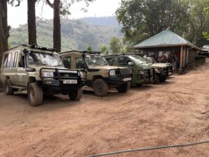 Travel Trends of 2025: Unlock the Best of East Africa with Nkisu Wilderness Safaris